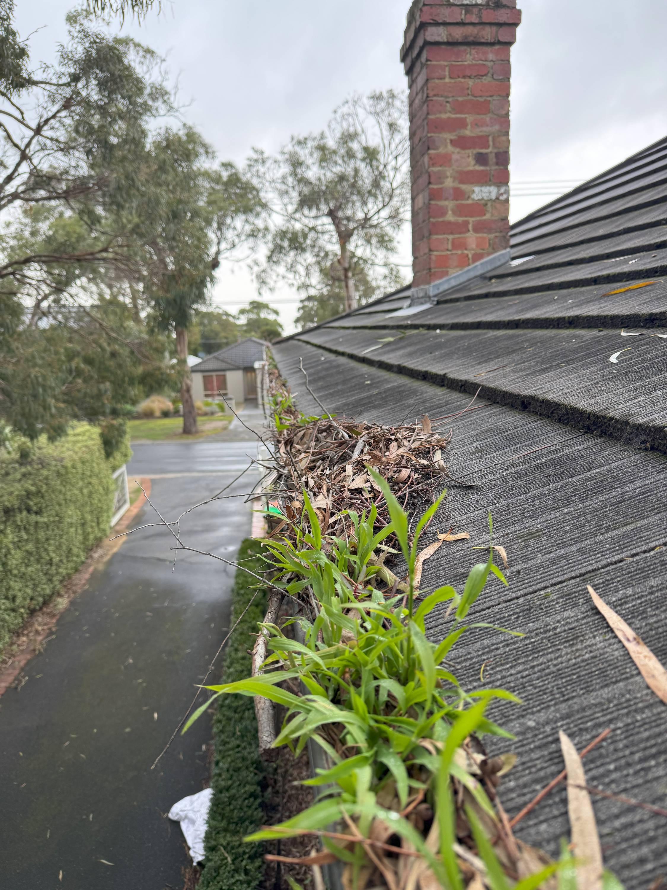 Heavily blocked gutter before