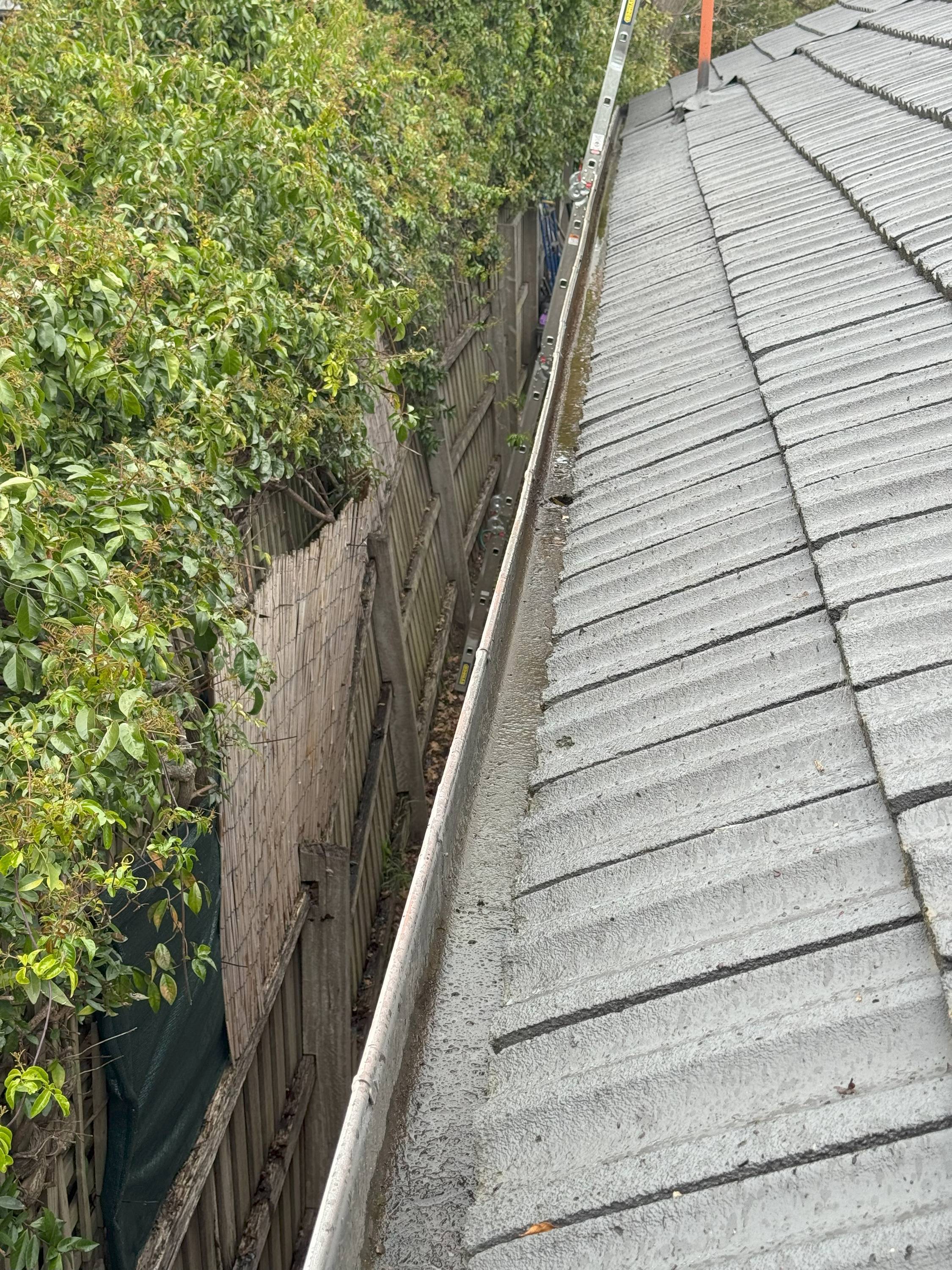 Clean roof gutter backyard view