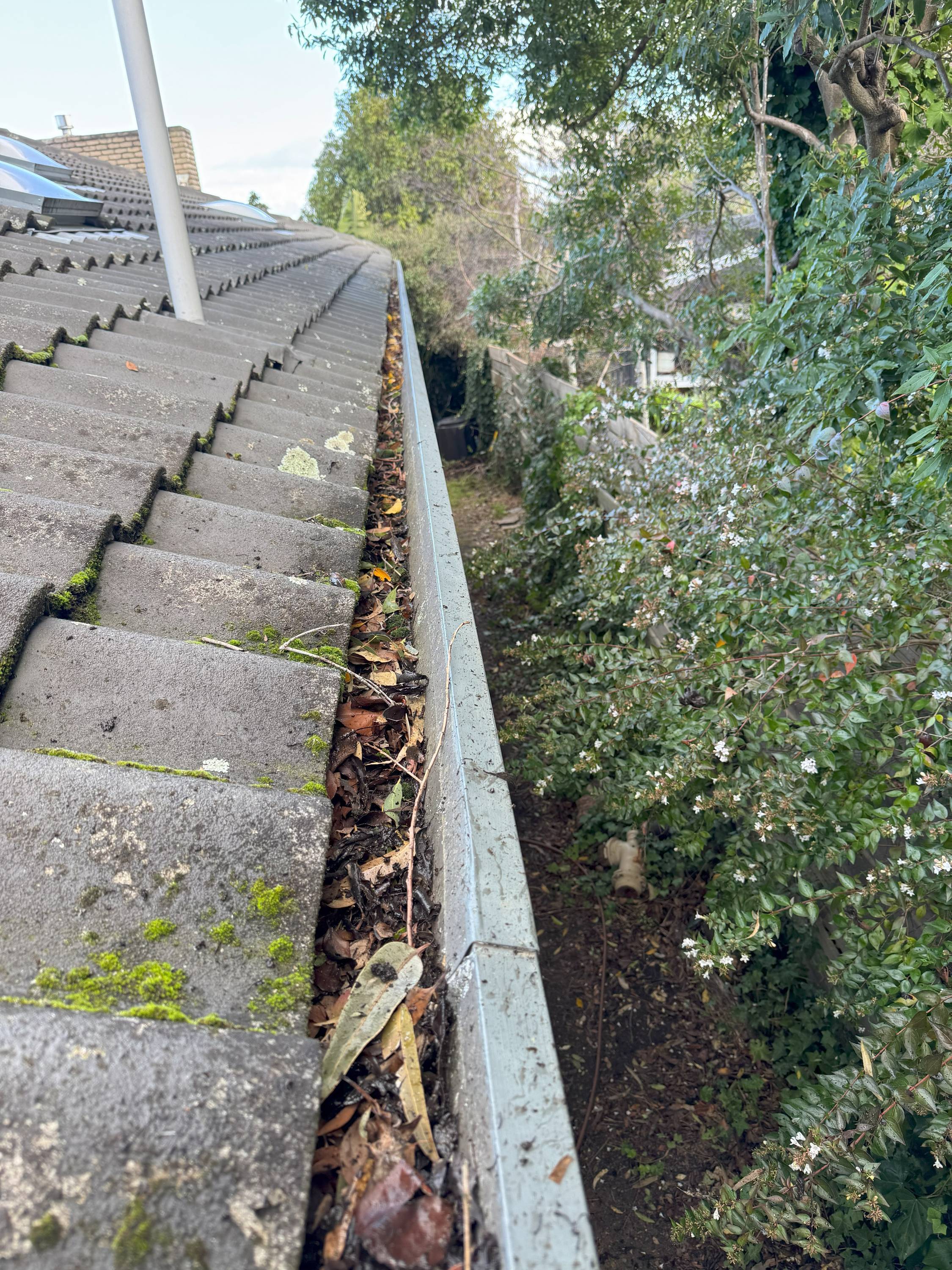 Blocked gutter before clearing