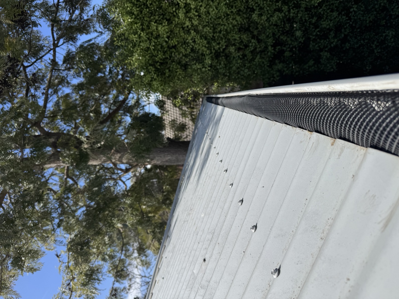 Gutter guard fitted — mature tree canopy overhead