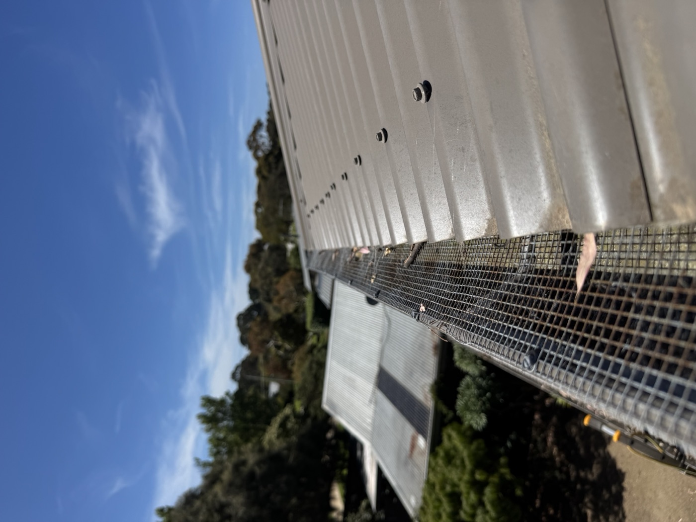 Mesh guard along full roofline — Mornington Peninsula