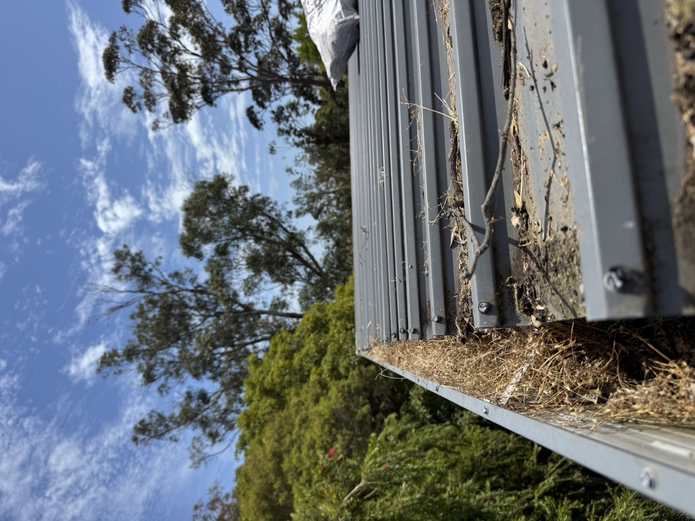 Gutter full of debris before guard installation