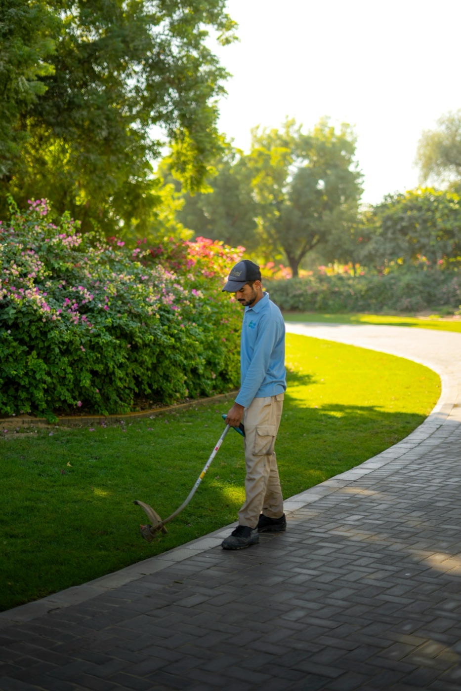 Cleanline lawn care and garden maintenance on the Mornington Peninsula