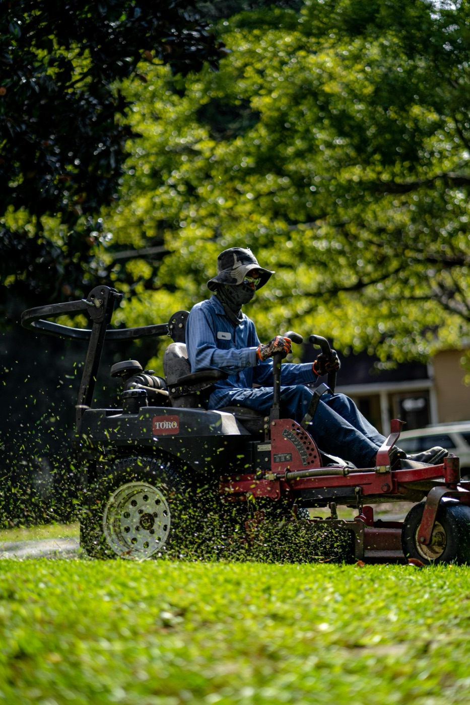 Ride-on mower lawn service — Frankston area