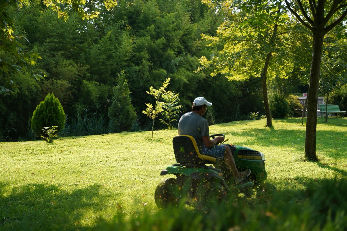 Ride-on lawn mowing in a garden setting